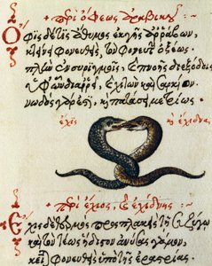 Accoppiamento di serpenti, test e miniatura da De animalium natura et proprietate libellus, di Eliano da Greek School