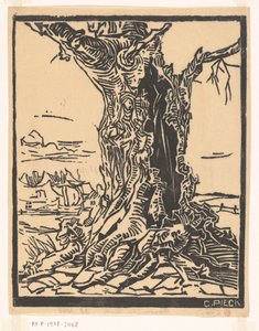 Tiglio a Lage Vuursche