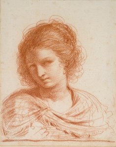 Testa di una Giovane Donna da Guercino