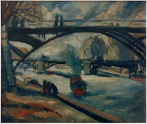 Ponti sulla Senna a Parigi
