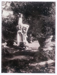 Fotografo (foto)