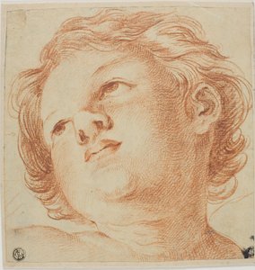 Testa di putto