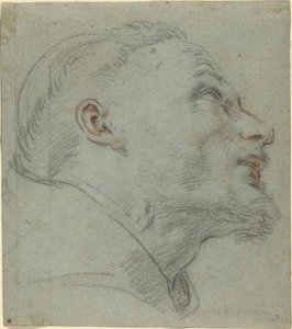Testa di San Francesco