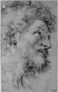 Testa di San Crispino da Guido Reni