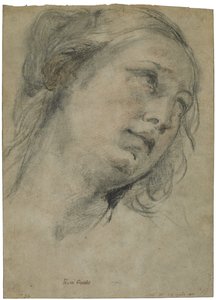 La testa di una giovane donna che guarda verso l