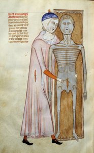 Medicina: tavola anatomica e chirurgica rappresentante una scena di dissezione da Guido da Vigevano da Pavia