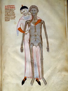 Chirurgia: dissezione del torace da Guido da Vigevano da Pavia