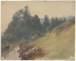 Pendio di montagna con pini da Guillaume Anne van der Brugghen