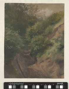 Strada delle dune