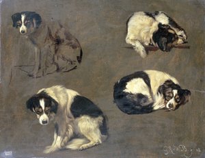 Quattro Studi di un Cane da Guillaume Anne van der Brugghen