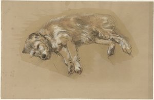 Cane sdraiato da Guillaume Anne van der Brugghen
