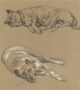 Due studi di un cane sdraiato da Guillaume Anne van der Brugghen