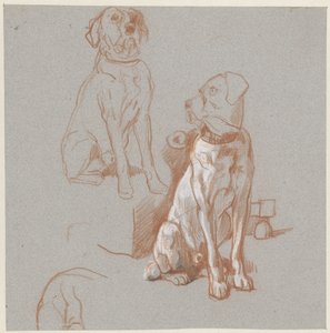 Due studi di un cane seduto da Guillaume Anne van der Brugghen