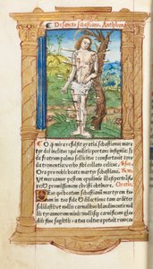 Libro d