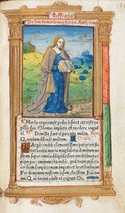 Libro d