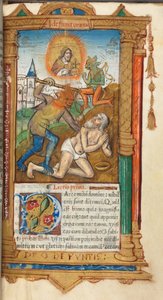 Libro d
