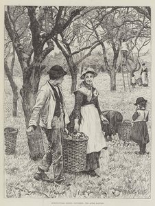 Scene agricole, novembre, la raccolta delle mele