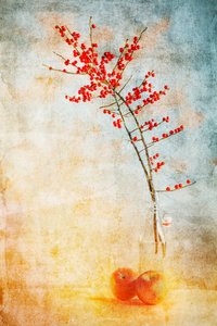 Bacche rosse e mele da Gustav Davidsson