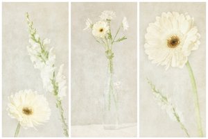 Morbidi fiori bianchi da Gustav Davidsson