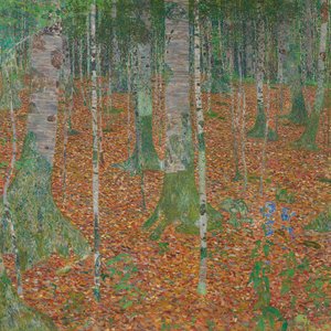 Bosco di betulle da Gustav Klimt