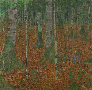 Foresta di betulle