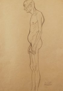 Uomo nudo da Gustav Klimt