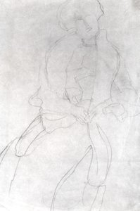 Donna seduta con boa (Adele Bloch-Bauer) da Gustav Klimt