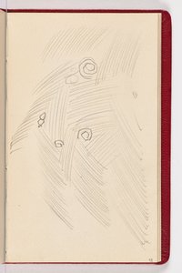 Pagina 43