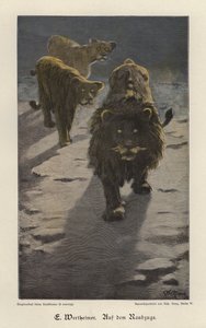 In Incursione da Gustav Wertheimer