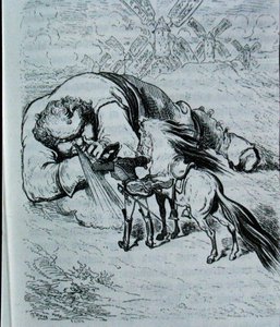 Illustrazione per 
