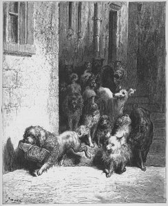 Il cane che porta al collo la cena del suo padrone - da 