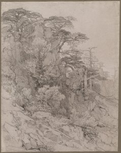 Alberi su una Collina Rocciosa da Gustave Achille Guillaumet