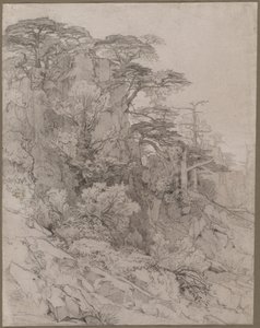 Alberi su un pendio roccioso da Gustave Achille Guillaumet