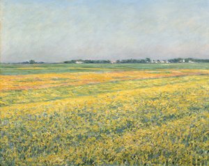 La pianura di Gennevilliers, campi gialli, 1884 da Gustave Caillebotte