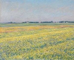 La pianura di Gennevilliers, i campi gialli da Gustave Caillebotte