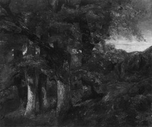 Paesaggio boscoso
