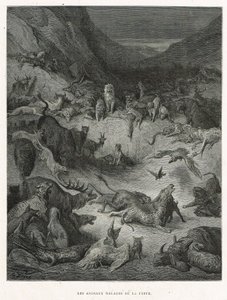 Animali malati di peste da Gustave Dore