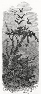 Un funerale celtico, 1866
