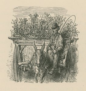 Un uomo che guida un carro carico di piante e fiori da Gustave Dore
