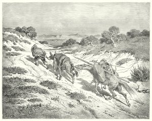 Don Chisciotte di Gustave Doré: "Guidando l