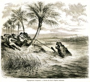 Caccia sul fiume Teoghe, affluente del Ngami. Arpione per ippopotami. Incisione di Gustave Doré illustrando 