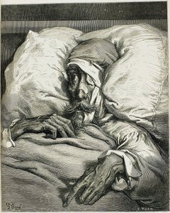 Illustrazione dal romanzo Don Chisciotte, di Miguel de Cervantes, 1863