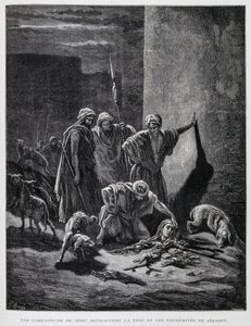 Resti della regina Gezabele dopo essere stata gettata dalle finestre del palazzo, Illustrazione dalla Bibbia di Doré da Gustave Dore