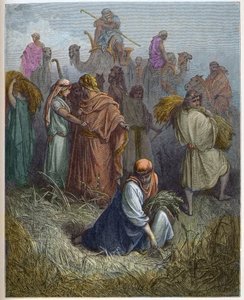 Ruth e Boaz - Ruth che lavora nei campi di Boaz - incisione in "La Bibbia illustrata" di Gustave Doré (1832-1883) - Incisione da "La Bibbia di Doré" da Gustave Dore