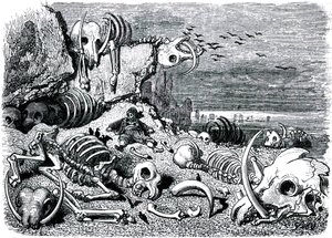 Sindbad il marinaio - racconto delle mille e una notte - illustrazione di Gustave Doré - edizione Maxwell 1865 - Settimo e ultimo viaggio: il cimitero degli elefanti dove Sindbad recupererà le zanne d