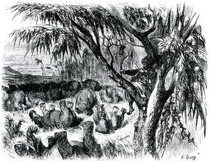 Sindbad il marinaio - racconto delle mille e una notte - illustrazione di Gustave Doré - edizione Maxwell 1865 - Settimo viaggio: Sindbad, appollaiato su un albero, tira con il suo arco sugli elefanti da Gustave Dore