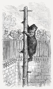 La Fossa degli Orsi - Giardini Zoologici da Gustave Dore