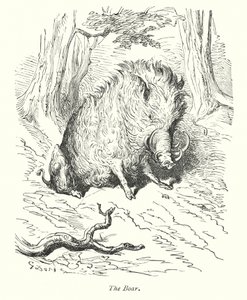 Il cinghiale (incisione)