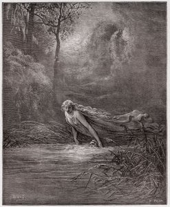 La Divina Commedia, Purgatorio, Canto 31: Dante sommerso nel fiume Lete - di Dante Alighieri (1265-1321) - Illustrazione di Gustave Doré (1832-1883). da Gustave Dore