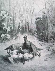 La favola dell